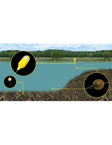 Avidcarp bottle markers 2unds