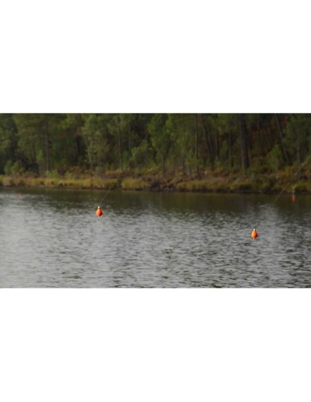 Solar boya line bite indicator