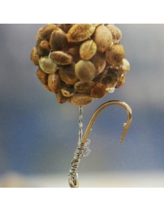 Kryston bogey(cola granos) 2