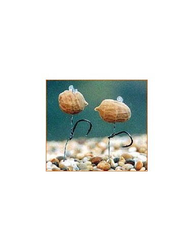 Entreprise pop-up tiger nut 5unds